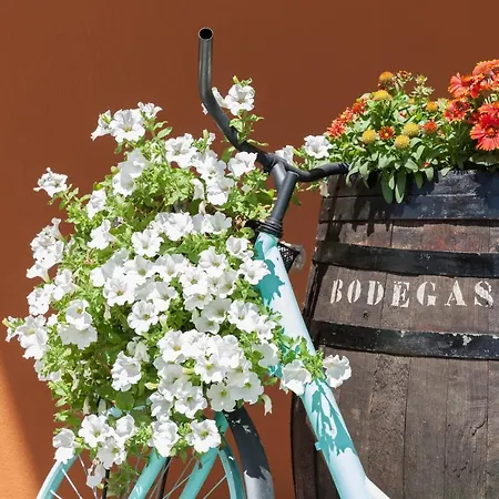 Aisia Museo 호텔 3*