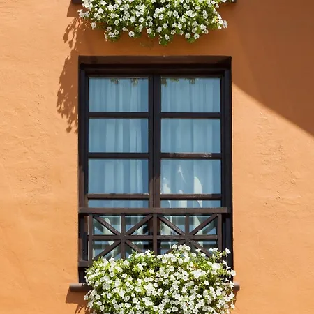 Aisia Museo 데리오