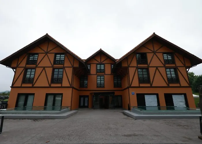 Aisia Museo 3* Derio